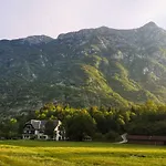 Jozi Соча