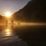 Jozi