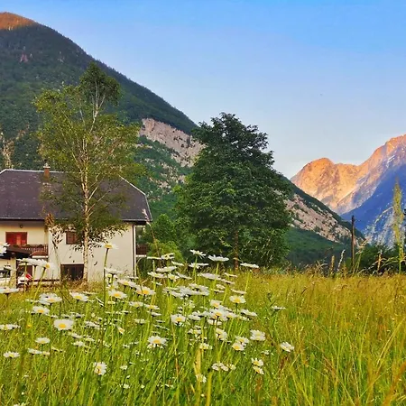 Jozi * Soča