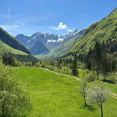 Jozi * Soča