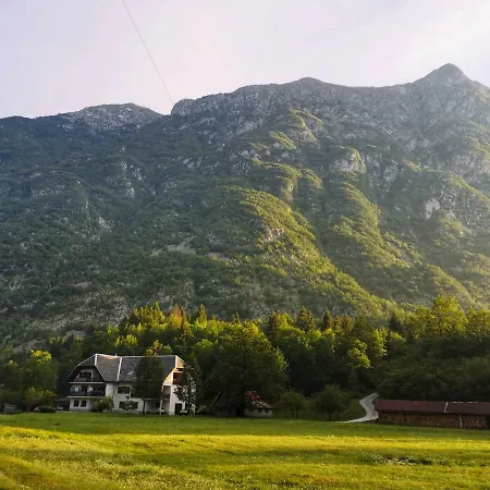 Jozi Soča