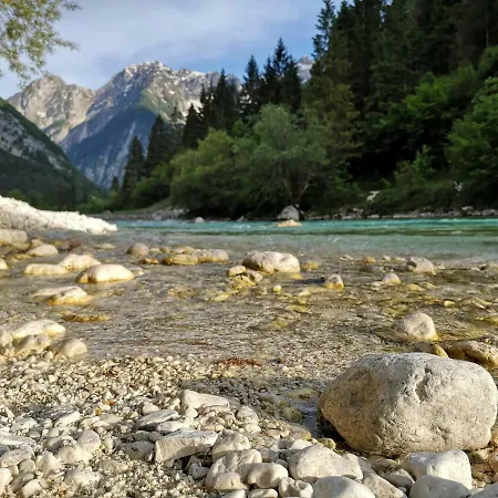 Jozi Апартаменты *