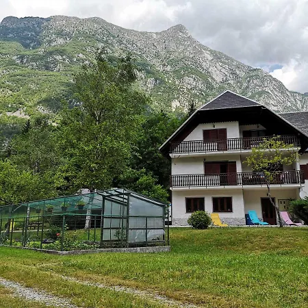 Jozi Soča